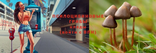кокаин премиум Козельск