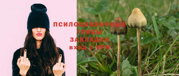 кокаин премиум Козельск