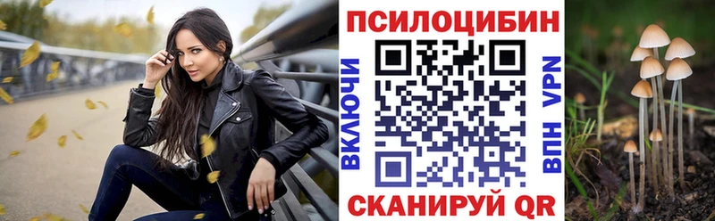 Купить где  Бабушкин  Галлюциногенные грибы Magic Shrooms 